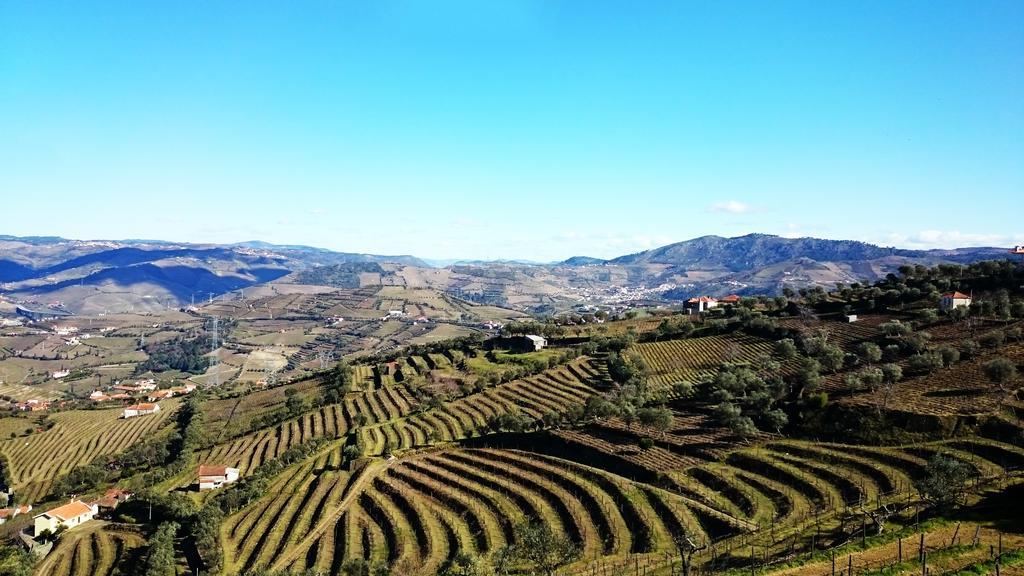 Vila Casa Quinta Da Adega Do Chao - Vale Do Douro Lamego Pokoj fotografie