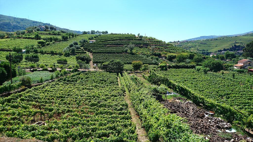 Vila Casa Quinta Da Adega Do Chao - Vale Do Douro Lamego Exteriér fotografie